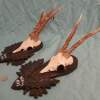 Set of 2 Vintage Roe Deer Antlers on wooden Trophy-Plaques Wallmounts - Image 3