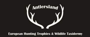 Antlersland Hunting Trophies & Wildlife Taxidermy logo