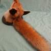 European Red Fox Taxidermy Mount - Image 7