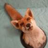 European Red Fox Taxidermy Mount - Image 10