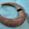 Pair of Mouflon Mountain Sheep Ram Horns 21,7" - Image 3