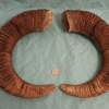 Pair of Mouflon Mountain Sheep Ram Horns 24,8" - Image 3